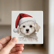 Maltese Puppy Drawing ceramic coasters set of 4, in hand