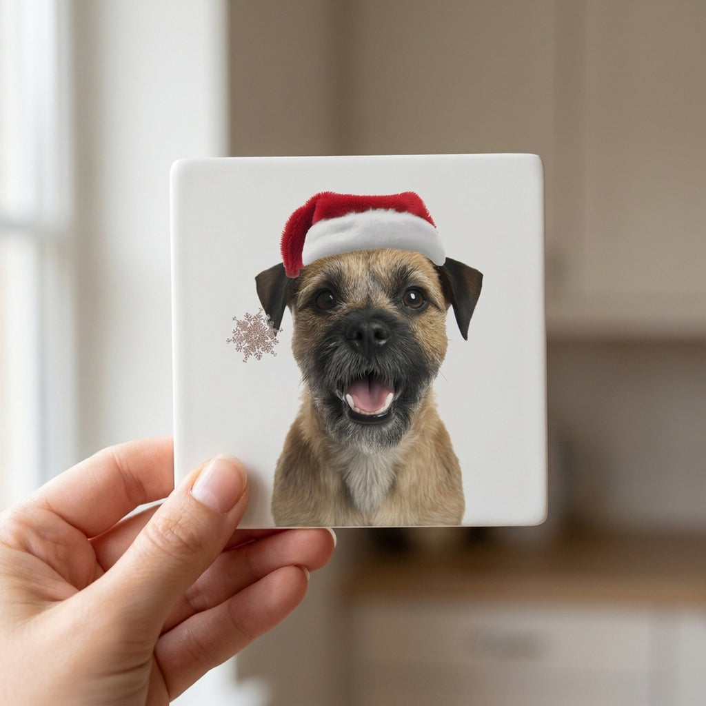 Border Terrier ceramic coasters set of 4, in hand