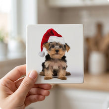 Yorkshire Terrier ceramic coasters set of 4, in hand