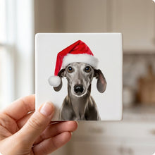 Sloughi ceramic coasters set of 4, in hand