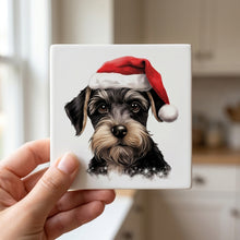 Standard Schnauzer Puppy Drawing ceramic coasters set of 4, in hand