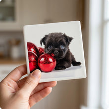 Affenpinscher Puppy ceramic coasters set of 4, in hand