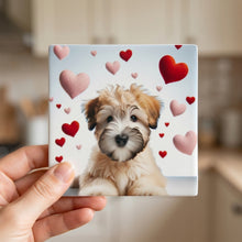 Soft Coated Wheaten Terrier ceramic coasters set of 4, in hand