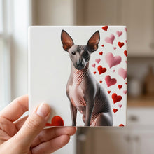 Xoloitzcuintli ceramic coasters set of 4, in hand