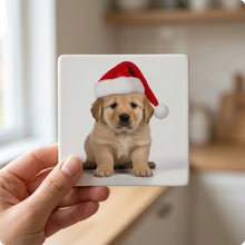 Chinook Puppy ceramic coasters set of 4, in hand