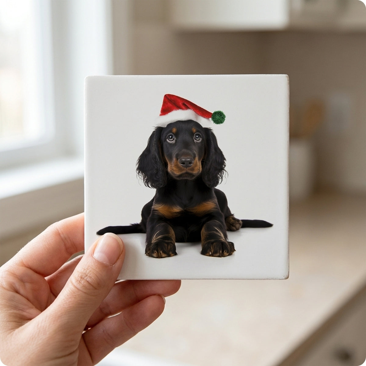 Gordon Setter Puppy ceramic coasters set of 4, in hand
