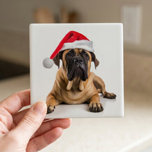 Boerboel ceramic coasters set of 4, in hand