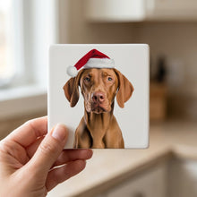 Vizsla ceramic coasters set of 4, in hand