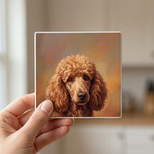 Poodle Portrait ceramic coasters set of 4, in hand