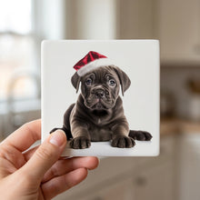 Cane Corso Puppy ceramic coasters set of 4, in hand