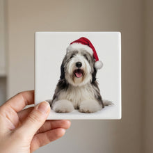 Old English Sheepdog ceramic coasters set of 4, in hand