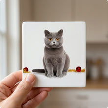 Chartreux Cat ceramic coasters set of 4, in hand
