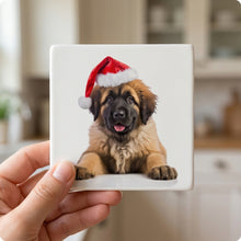 Leonberger Puppy ceramic coasters set of 4, in hand