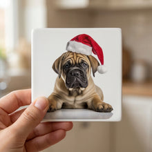 Boerboel Puppy ceramic coasters set of 4, in hand