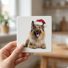 Belgian Tervuren ceramic coasters set of 4, in hand