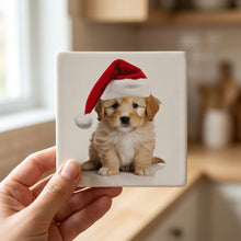 Lagotto Romagnolo Puppy ceramic coasters set of 4, in hand