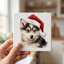 Siberian Husky Puppy Drawing ceramic coasters set of 4, in hand