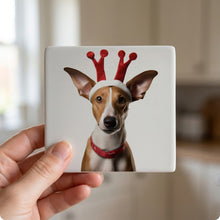 Ibizan Hound ceramic coasters set of 4, in hand