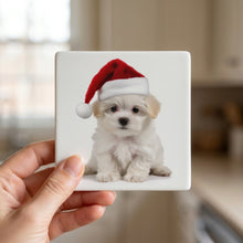 Maltese Puppy ceramic coasters set of 4, in hand