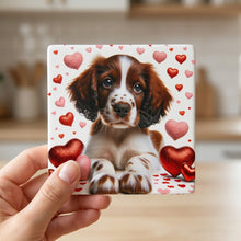 English Springer Spaniel ceramic coasters set of 4, in hand