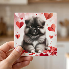 Keeshond ceramic coasters set of 4, in hand