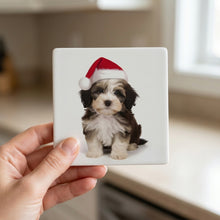 Havanese Puppy ceramic coasters set of 4, in hand
