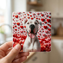 Dogo Argentino ceramic coasters set of 4, in hand
