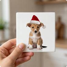 Portuguese Podengo Pequeno Puppy ceramic coasters set of 4, in hand