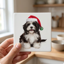 Havanese ceramic coasters set of 4, in hand