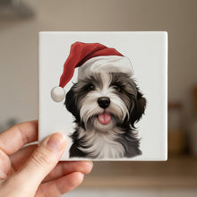 Tibetan Terrier Puppy Drawing ceramic coasters set of 4, in hand
