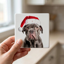 Neapolitan Mastiff ceramic coasters set of 4, in hand