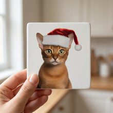 Abyssinian Cat ceramic coasters set of 4, in hand
