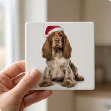English Cocker Spaniel ceramic coasters set of 4, in hand