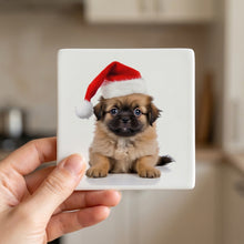 Tibetan Spaniel Puppy ceramic coasters set of 4, in hand