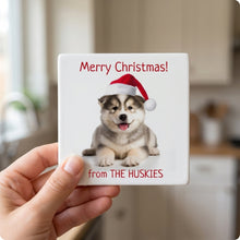 Alaskan Malamute Puppy ceramic coasters set of 4, in hand