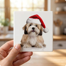 Lhasa Apso ceramic coasters set of 4, in hand