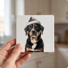 Entlebucher Mountain Dog ceramic coasters set of 4, in hand