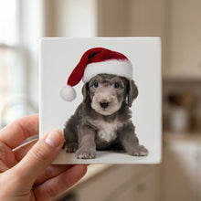 Bedlington Terrier Puppy ceramic coasters set of 4, in hand