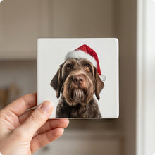 Wirehaired Pointing Griffon ceramic coasters set of 4, in hand