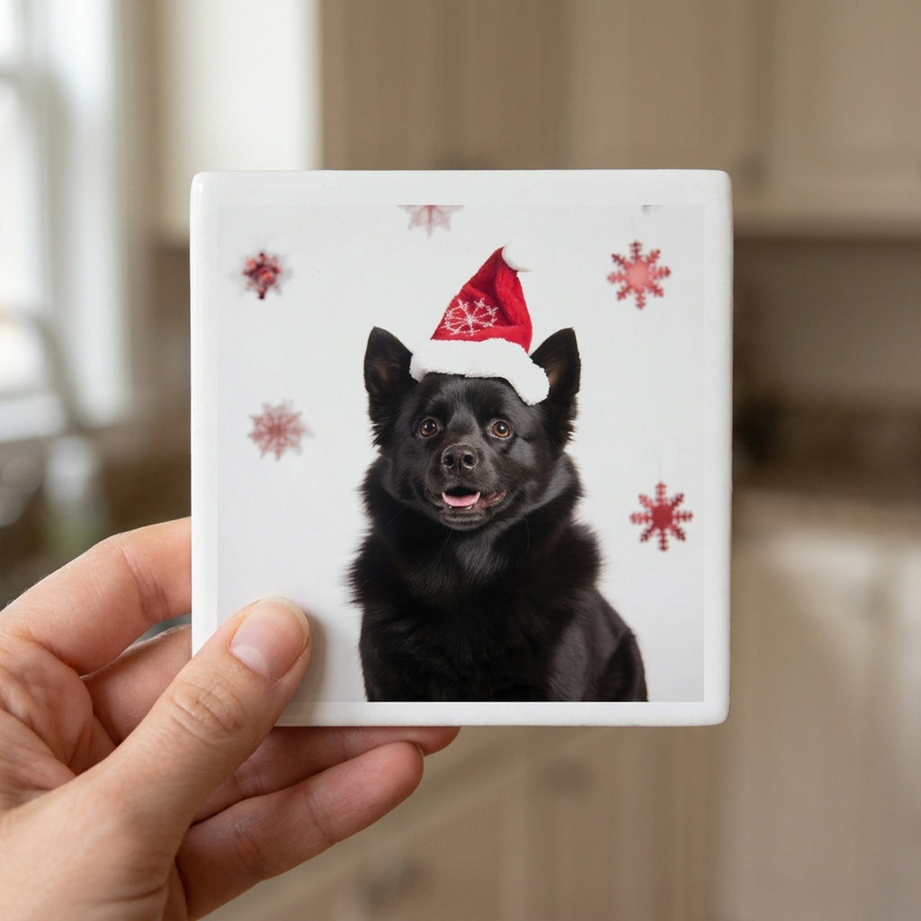 Schipperke ceramic coasters set of 4, in hand