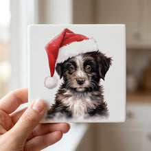 Mudi Puppy Drawing ceramic coasters set of 4, in hand