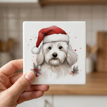 Coton de Tulear ceramic coasters set of 4, in hand