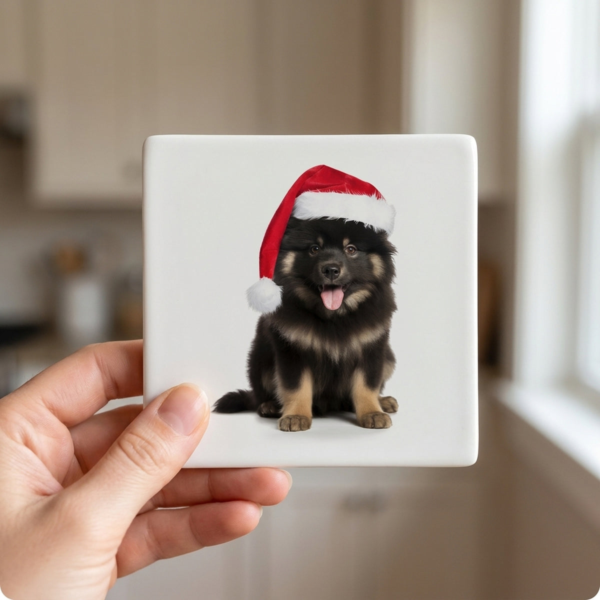 Finnish Lapphund ceramic coasters set of 4, in hand