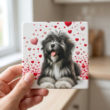 Tibetan Terrier ceramic coasters set of 4, in hand