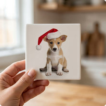 Portuguese Podengo Pequeno Puppy ceramic coasters set of 4, in hand
