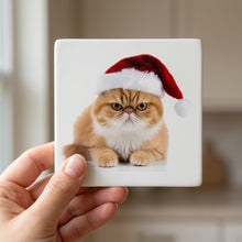 Exotic Shorthair Cat ceramic coasters set of 4, in hand