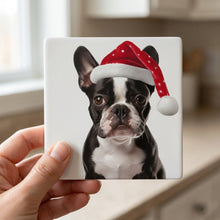 Boston Terrier ceramic coasters set of 4, in hand