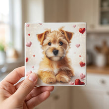 Norfolk Terrier ceramic coasters set of 4, in hand
