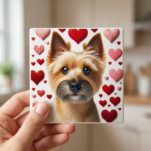 Cairn Terrier ceramic coasters set of 4, in hand