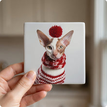 Cornish Rex Cat ceramic coasters set of 4, in hand